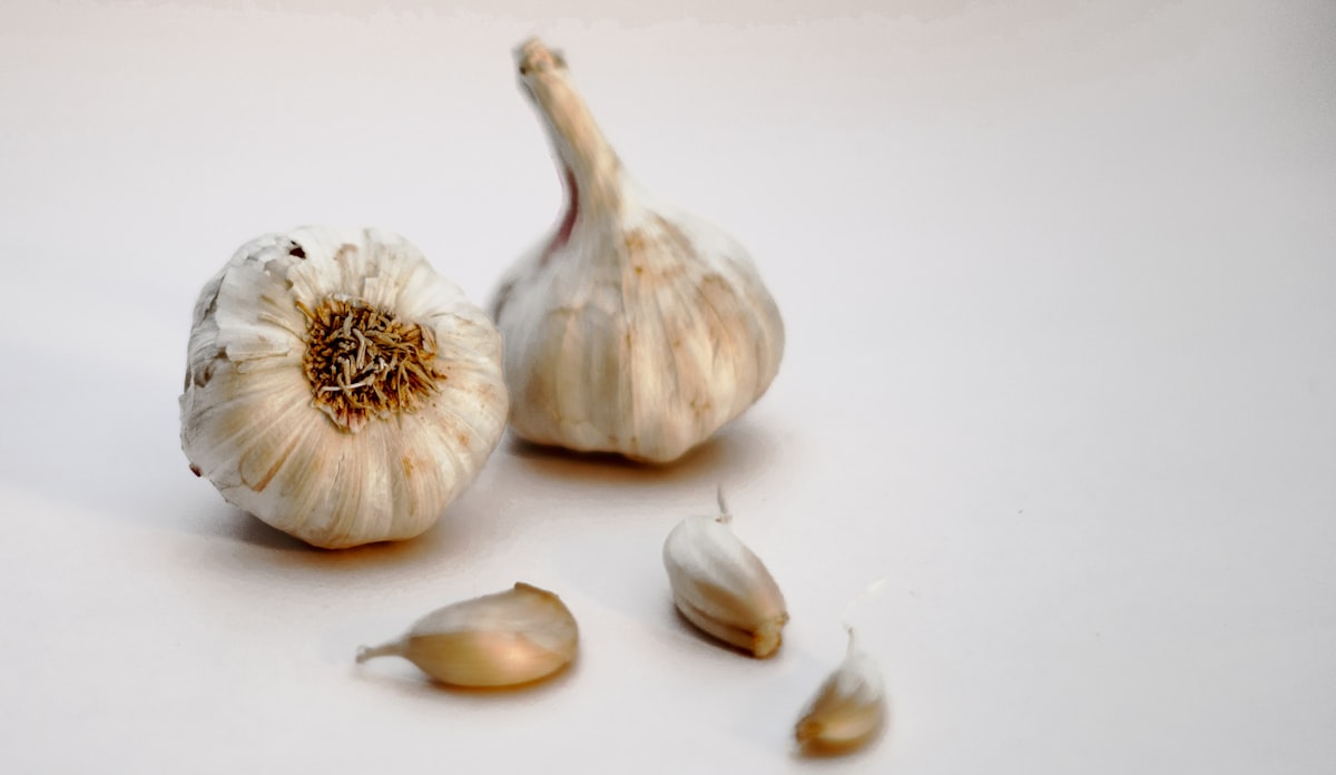 Minestra di riso e aglio in brodo