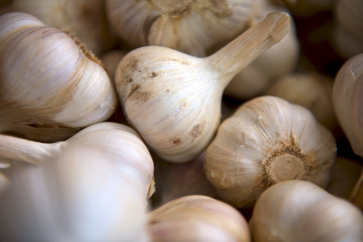 Zuppa di cipolla e aglio